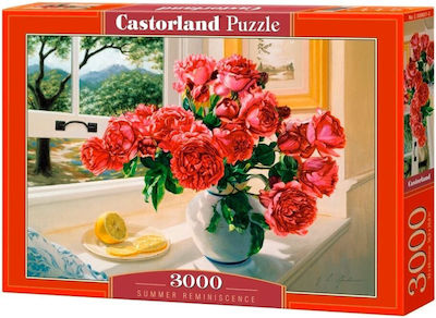 Puzzle 2D 3000 Pieces