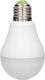 Orno LED Bulb 7W for Socket E27 and Shape A60 Natural White 825lm