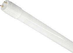Bemko LED Bulb 22W for Socket G13 Natural White Bemko LED Bulb 22W for Socket G13 Natural White