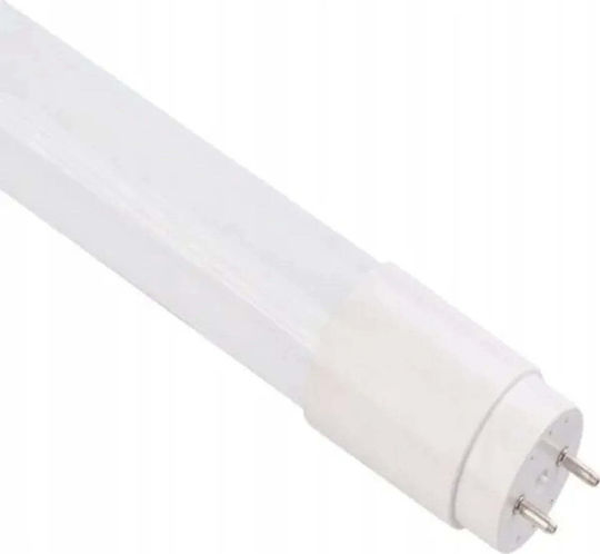 Eco Light LED-Lampe 25W Röhrenform 150εκ. für Fassung G13 und Form T8 Kühles Weiß 3250lm