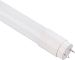 Eco Light LED-Lampe 9W für Fassung G13 Naturweiß Eco Light LED-Lampe 9W für Fassung G13 Naturweiß