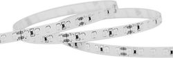 Eurolamp Ταινία LED 24V Ψυχρό Λευκό Φως 5m Τύπο...