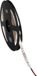 Kanlux Waterproof LED Strip 12V with Warm White Light 5m