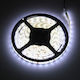 Eco Light Ταινία LED 12V 5m Τύπου SMD2835