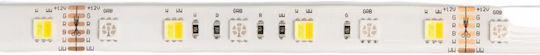 Eco Light Ταινία LED 12V Ρυθμιζόμενο Λευκό Φως 5m Τύπου SMD5050