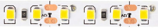 Eco Light Ταινία LED 12V Φυσικό Λευκό Φως 5m Τύπου SMD2835