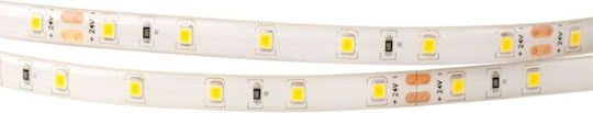 Eco Light Bandă LED 24V Alb Cald Lumină 5m Tip SMD2835