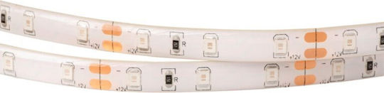 Eco Light Ταινία LED 12V Τύπου SMD2835