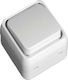 Mutlusan Wall-mounted Basic Wall Switch Single with White Frame