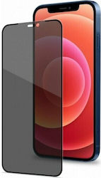 Glas (Samsung Galaxy S24+ SM-S926)