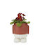 Balvi Planter Ceramic Red 20x20x14.5cm.