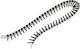 DEWALT Screw with Diameter M3.5 and Length 45mm 1000pcs