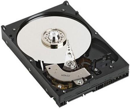Dell Enterprise Class 1TB HDD Hard Drive 3.5" SATA III 7200rpm with 64MB Cache for Server GPP3G