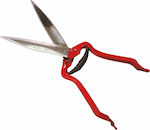 Pruning Shears