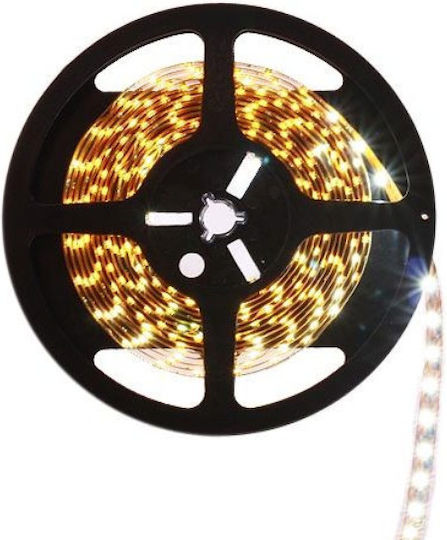 Eco Light LED Лента 12V Топло бяло Светлина 5м Тип SMD2835