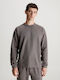 Sweatshirt Brown