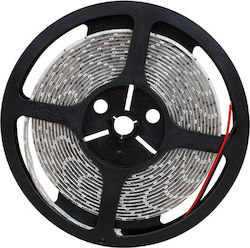 Waterproof LED Strip 12V with Warm White Light 5m