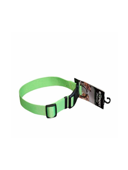 Tatrapet Hundehalsband Light Green