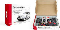 AMiO Xenon Σετ Φωτισμού Αυτοκινήτου 9005 35W 12V 4300K Φυσικό Λευκό