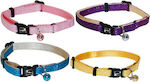 Croci Cat Collar (Various Colors)