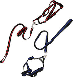 AGC Hundeleine/ -führer Riemen 250cm Roter