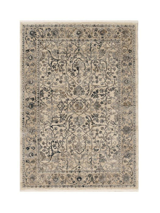 Newplan Toronto 0172 (0173) /260 Rug Rectangular 067x150