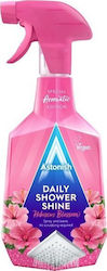 Astonish Υγρό Καθαριστικό Κατά των Αλάτων 750ml