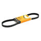 Continental Contitech Ιμάντας Κινητήρα Αυτοκινήτου για Fiat Regata BMW E39 / E46 5PK836