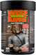 Zoomad Labs Wise King 2.0 Supplement for Joint Health 450g Fizzy Peach