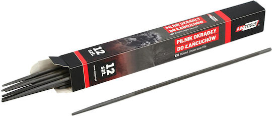 AWTools 4,0MM Satz Feilen mit Griff 12Stück