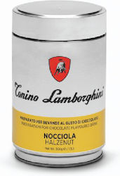 Lamborghini Chocolate Powder 500gr