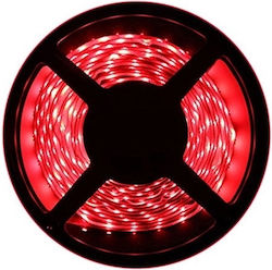 Ywxlight 300 Αδιάβροχη Ταινία LED Τροφοδοσίας 12V με Κόκκινο Φως Μήκους 5m SMD3528