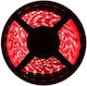 Waterproof LED Strip Ywxlight 300 12V Red Light 5m Type SMD3528