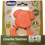 Chicco Teether made of Silicone for 3 m+ 1pcs