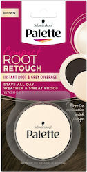Palette Root Retouch Palette Root Retouch