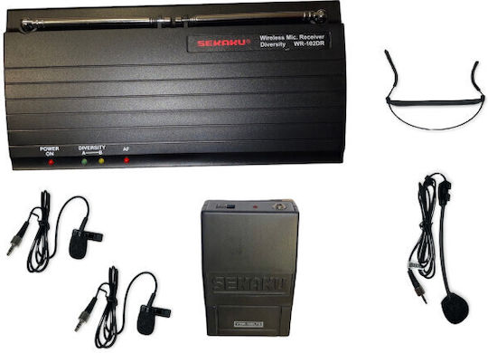 LD Systems Diversity WR-102DR/VXM-168L TS+LM-10+LM-60+HM28 Microfon Pandantiv, Clip On, Curea