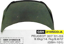 Carman Autohaube für Peugeot 307 Carman Autohaube für Peugeot 307
