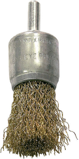 Proline 32862 Werkzeugdrahtbürste Glocke 24mm