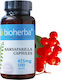 Bioherba Sarsaparilla 425мг 100 капси Сарсапарила