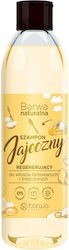 Barwa Regenerating Egg 300ml Barwa Regenerating Egg 300ml