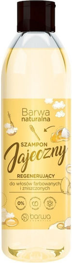 Barwa Regenerating Egg Σαμπουάν Αναδόμησης/Θρέψης & Διατήρησης Χρώματος για Ταλαιπωρημένα Μαλλιά 300ml