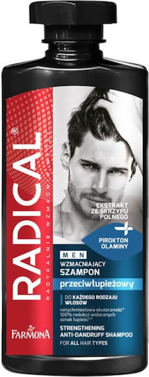 Farmona Radical Men Shampoos against Dandruff for All Hair Types 400ml