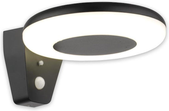 Adeleq Wall Mounted Solar Light 4.4W 600lm Natural White 4000K with Motion Sensor IP44
