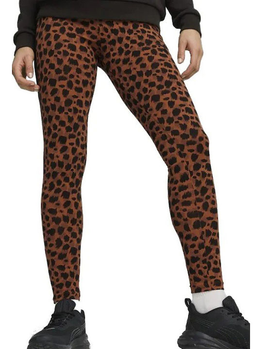 T7 Women's Long Training Legging Teak