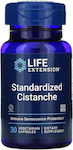Life Extension Standardized Cistanche 30 φυτικές κάψουλες