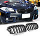 Carner Car Decorative Mask BMW Series 5 (F10) / F11 / M4 / F10