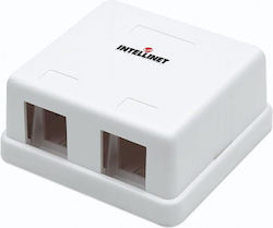Intellinet Externe Netzwerksteckdose