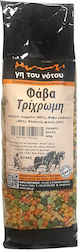 Raks Petrakis S.A. Γη