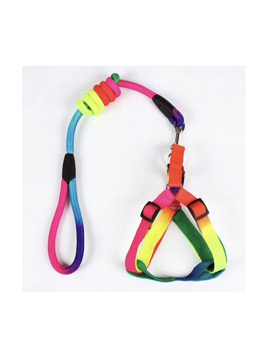 TFS Dog Harness Medium / Small