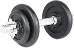 Sportmann Dumbbell 1x10kg